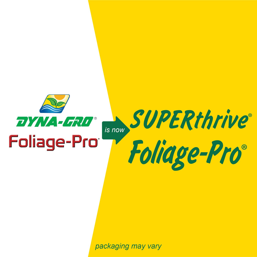 Dyna-Gro Foliage Pro supports indoor plants in low-light environments.