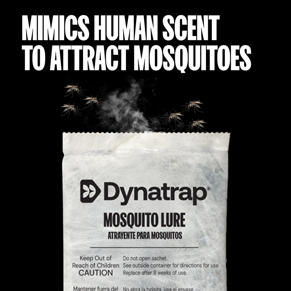 DynaTrap lure lasts up to sixty days for steady outdoor attraction.