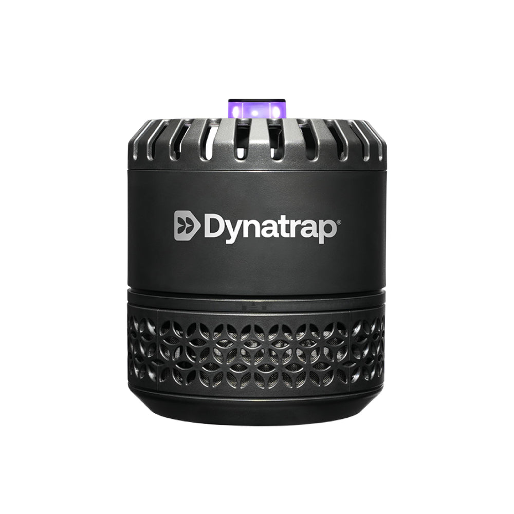 Dynatrap DT152 front view showing discreet indoor trap for a pest-free living room