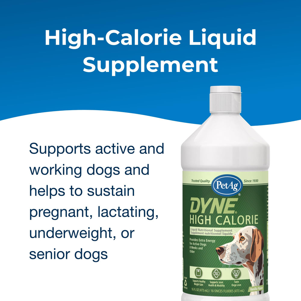 Dyne soutient l’endurance des chiens actifs avec une formulation fluide.