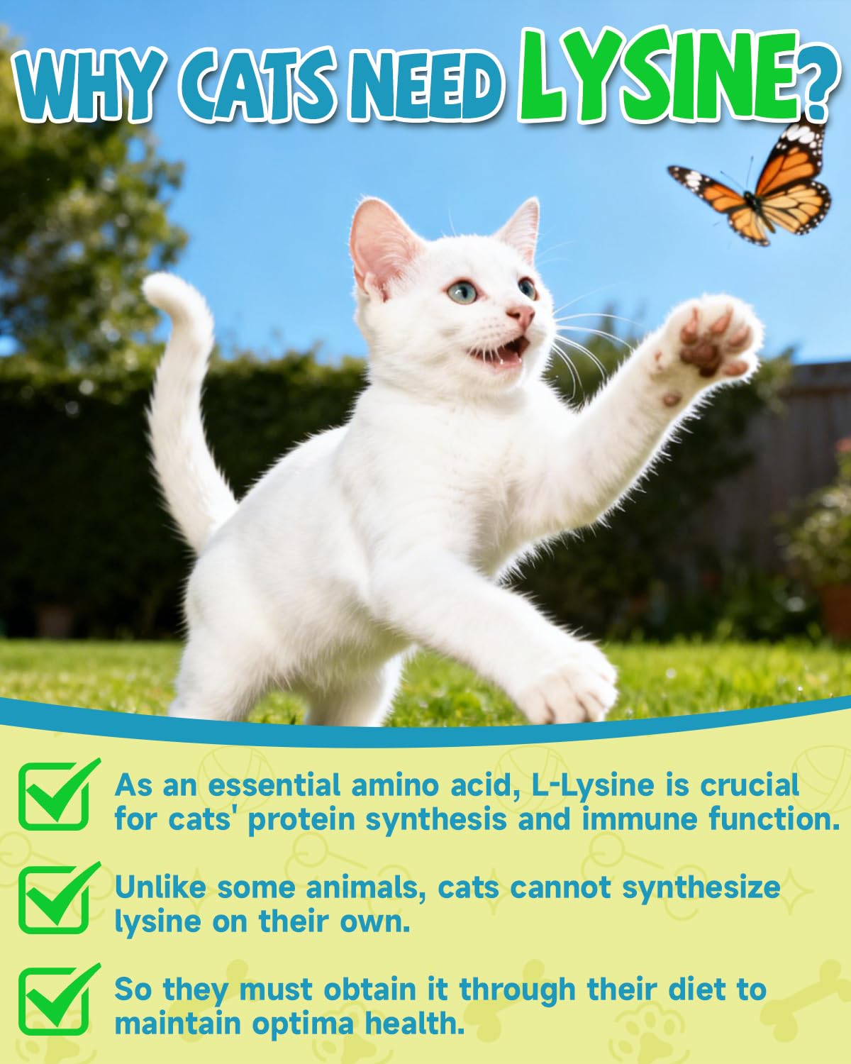 Eagou Diary L-Lysine for Cats dropper in use for easy dosing