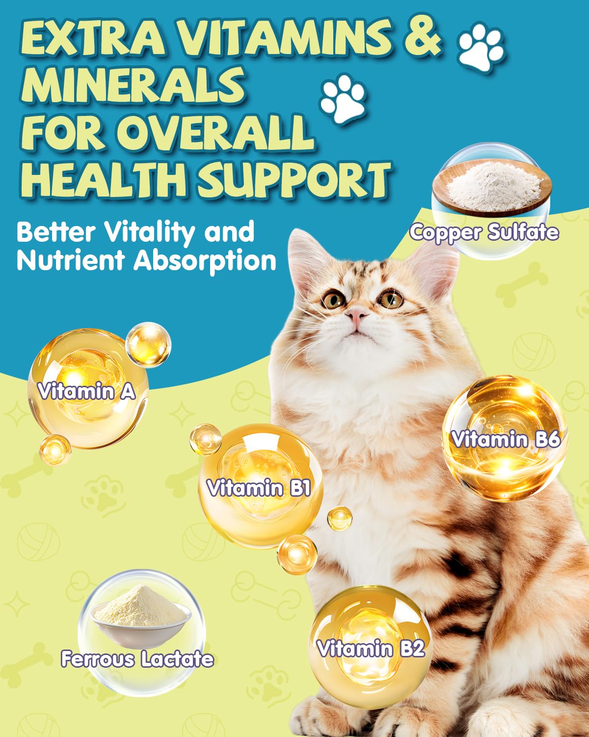 Eagou Diary L-Lysine herbal ingredients like astragalus and codonopsis