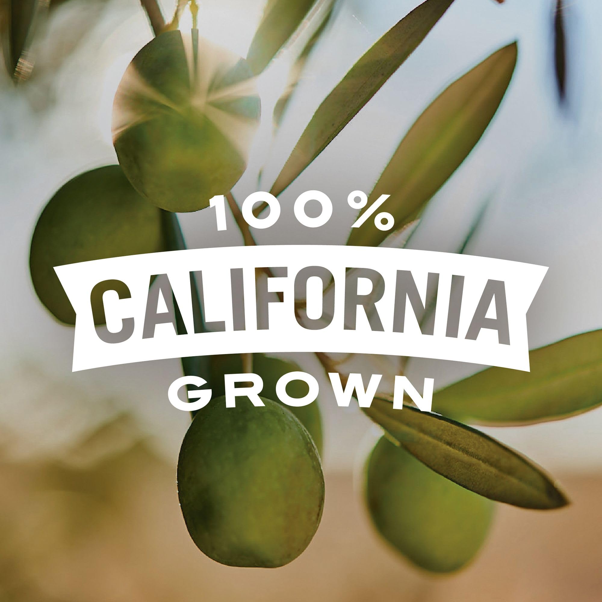 Early California grazing board with olives for social gatherings