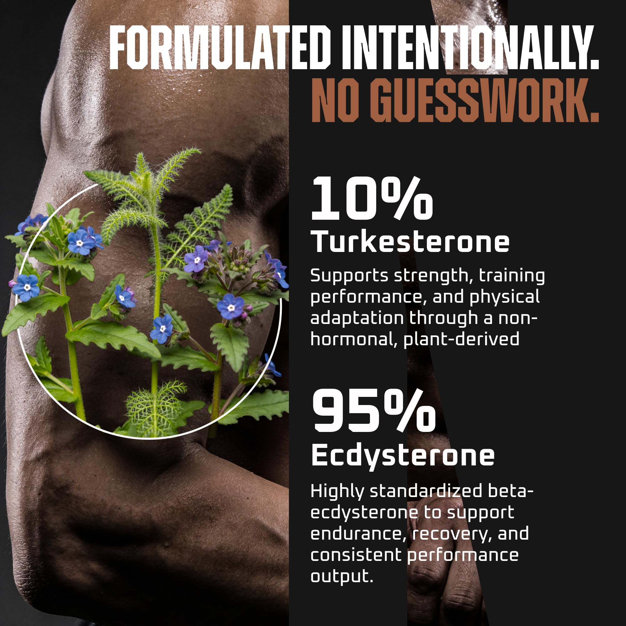 Closeup of Earth Elixir Turkesterone & Ecdysterone capsules highlighting potency