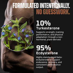 Closeup of Earth Elixir Turkesterone & Ecdysterone capsules highlighting potency