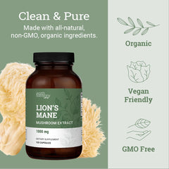 Earth Harmony Naturals Lions Mane capsules on a kitchen counter suggesting routine.