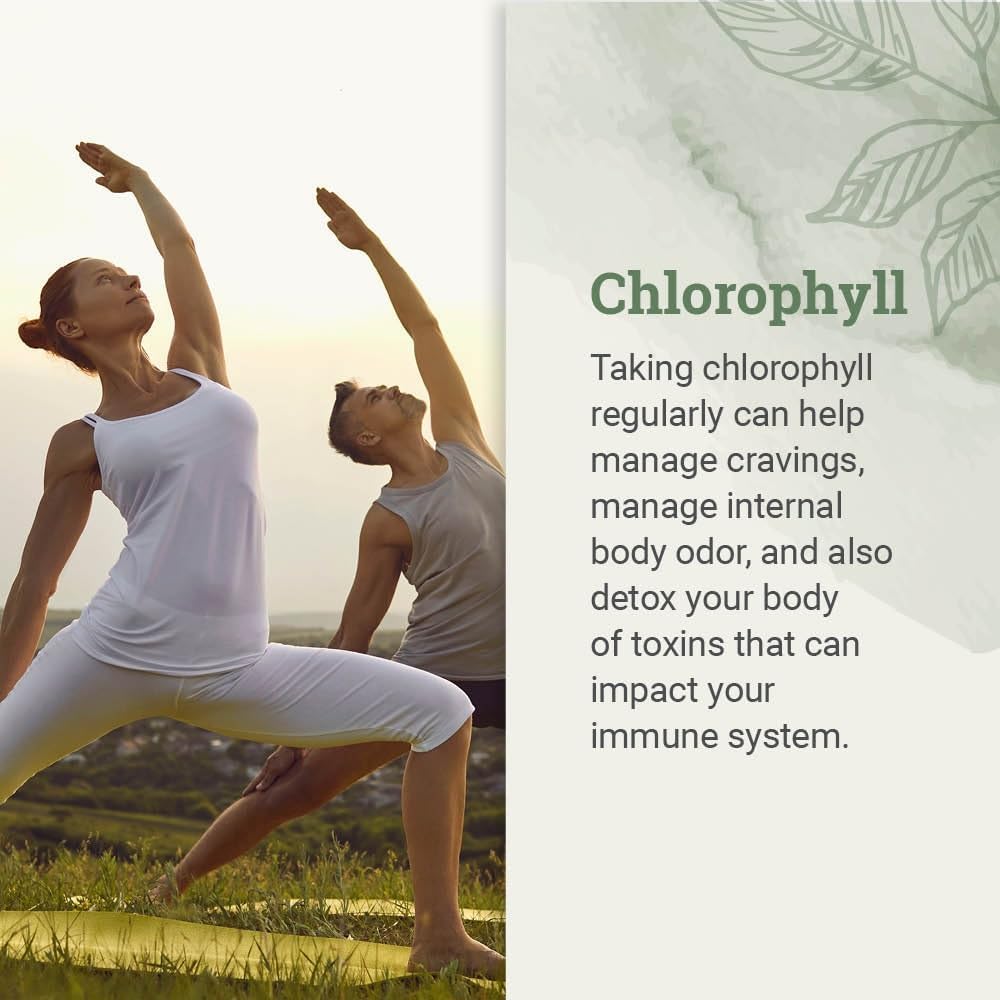 Earth Harmony Naturals Liquid Chlorophyll dropper for easy daily dosing
