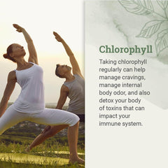 Earth Harmony Naturals Liquid Chlorophyll dropper for easy daily dosing