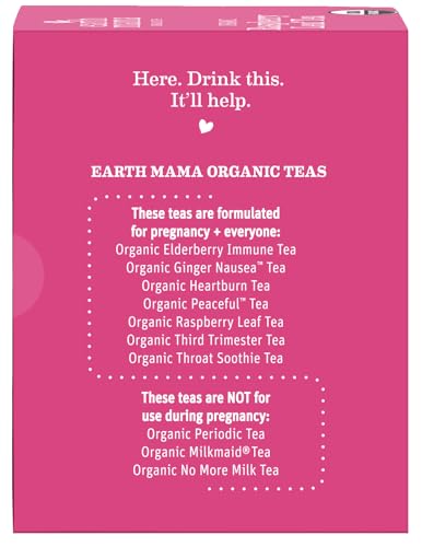 Earth Mama Organic Red Raspberry Leaf Tea hot cup ready for daily ritual