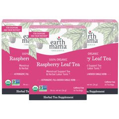 Earth Mama Organic Red Raspberry Leaf Tea in a tea bag for a comforting warm cup