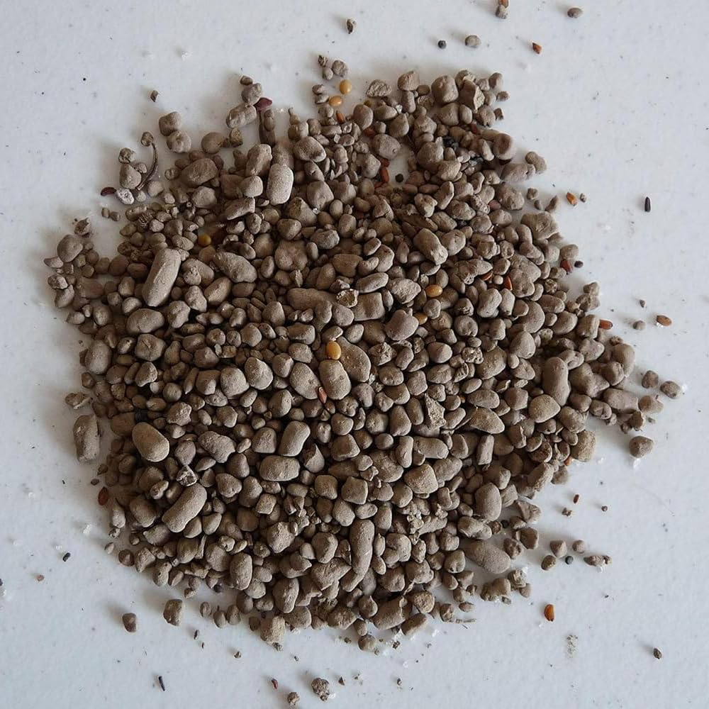 Earth Science 13-species wildflower blend supports diverse, long-lasting blooms in partial shade.