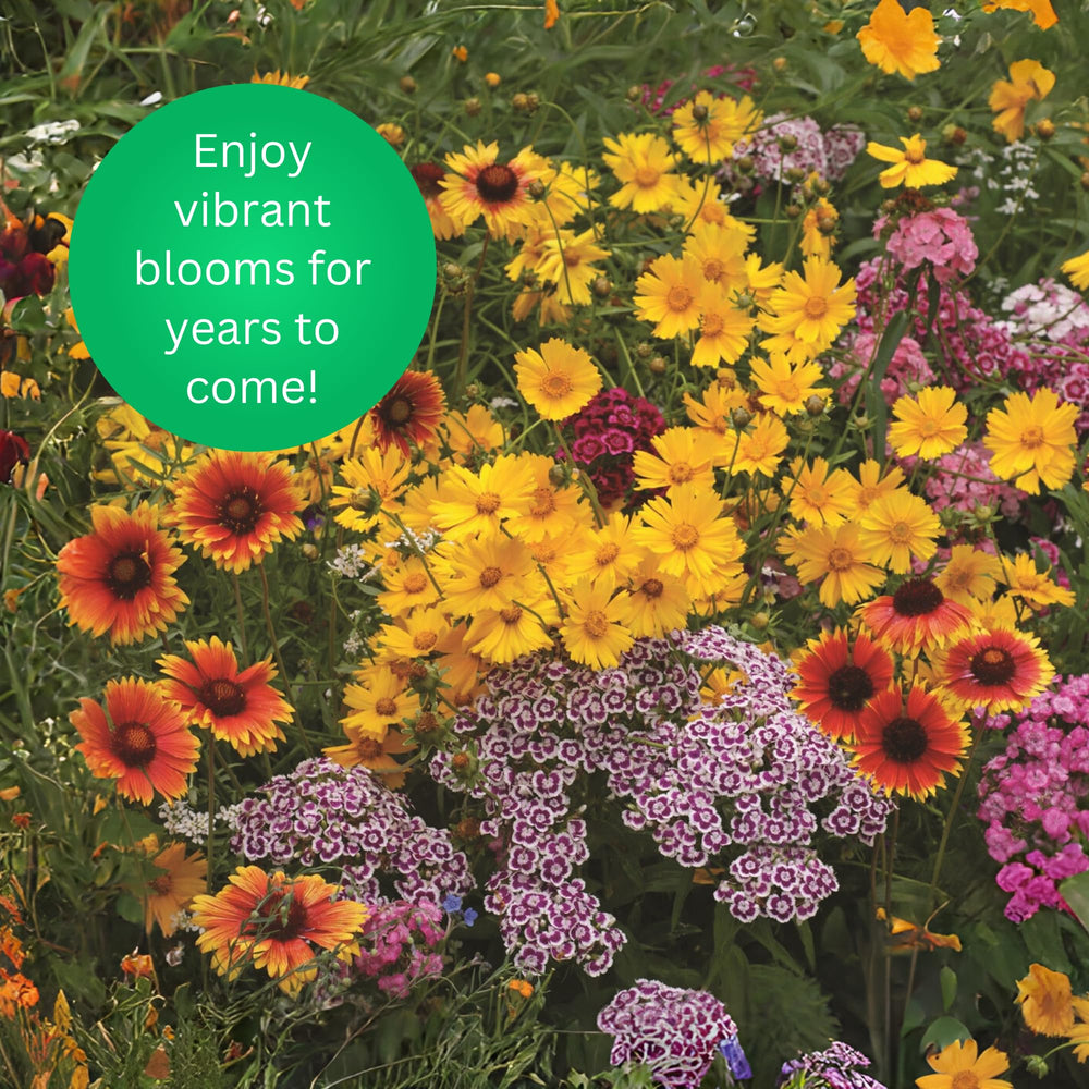Perennial wildflowers in bloom powered by Earth Science mix