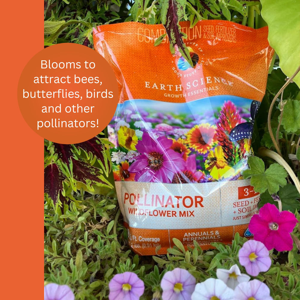 Earth Science Pollinator Bee on Zinnia attracting bees with nectar-rich blooms