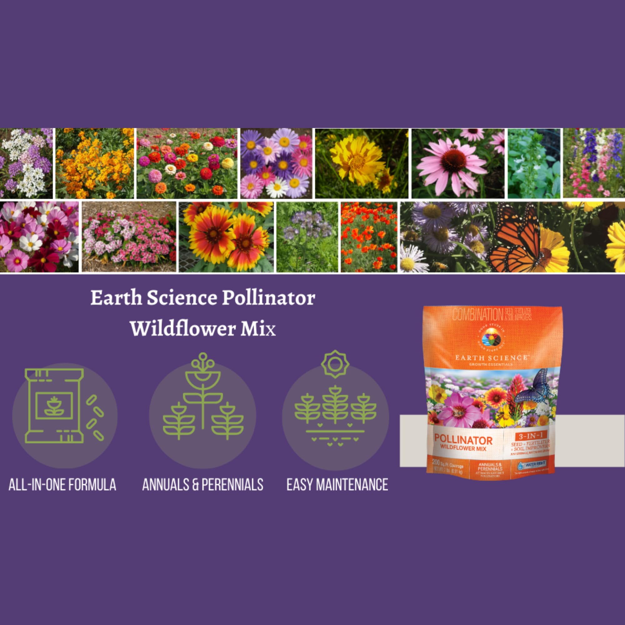 Earth Science Thirteen-species wildflowers showcase garden diversity