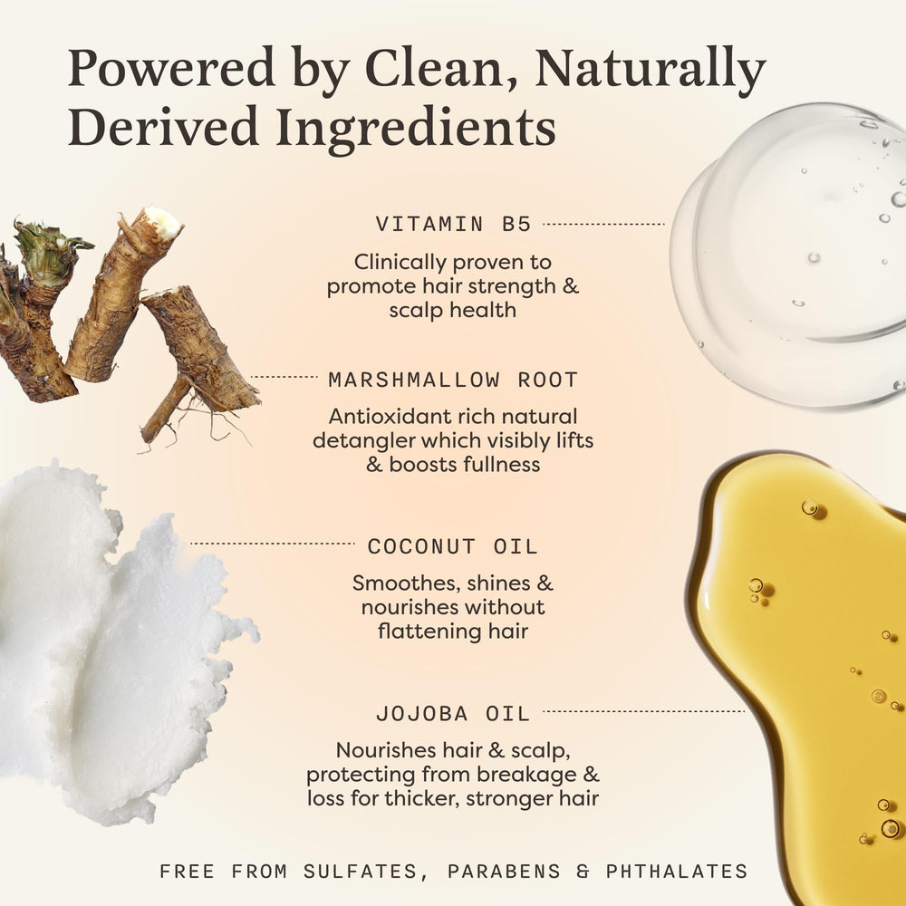 The Earthling Co. natural ingredients showcase marshmallow root and jojoba for nourishing hair.