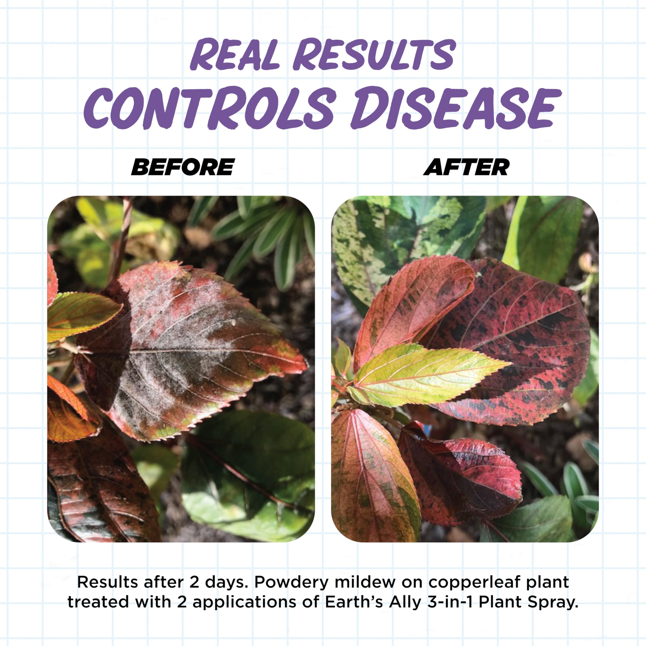 Earth's Ally controls spider mites and aphids on houseplants.