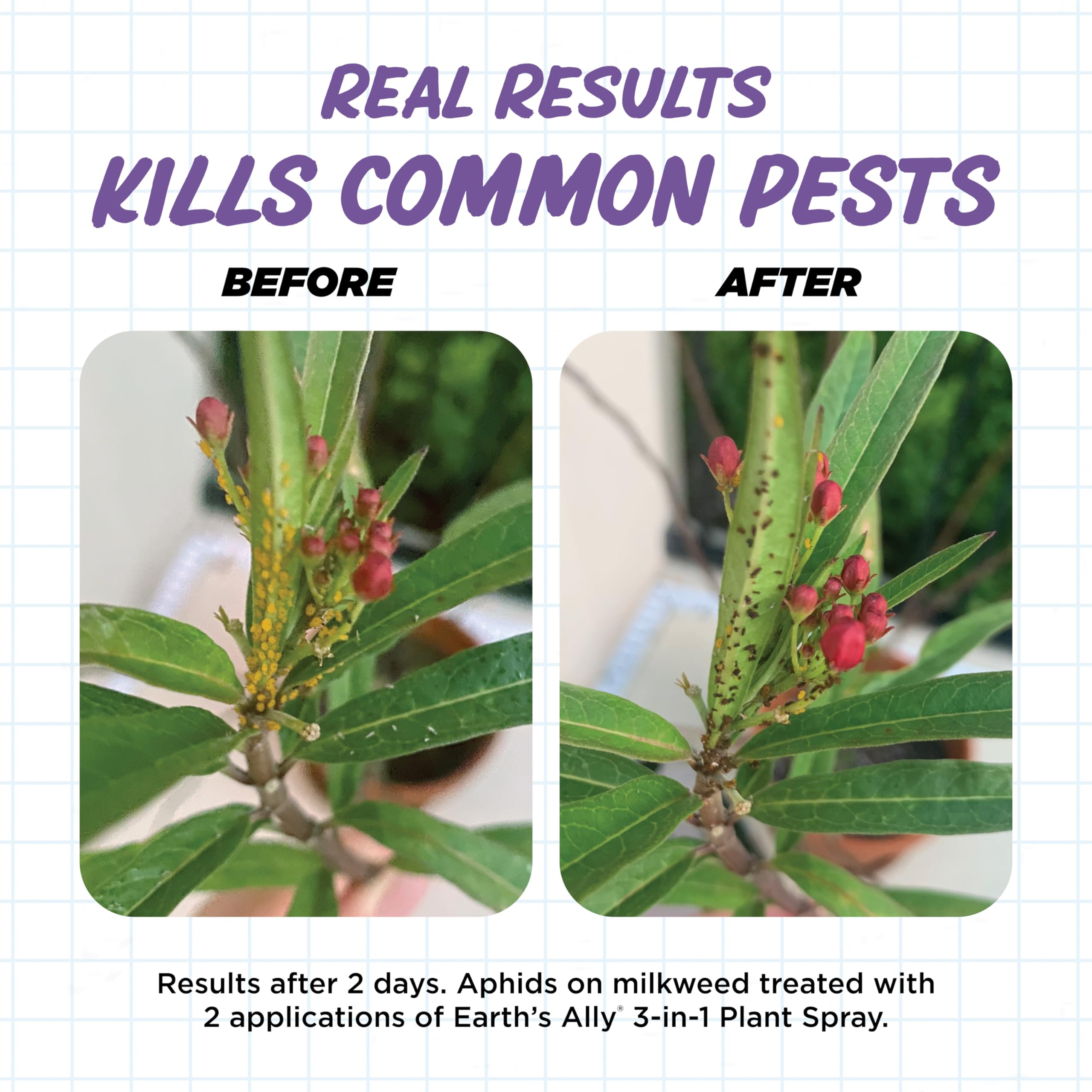 Earth's Ally helps prevent powdery mildew and leaf spots on foliage.