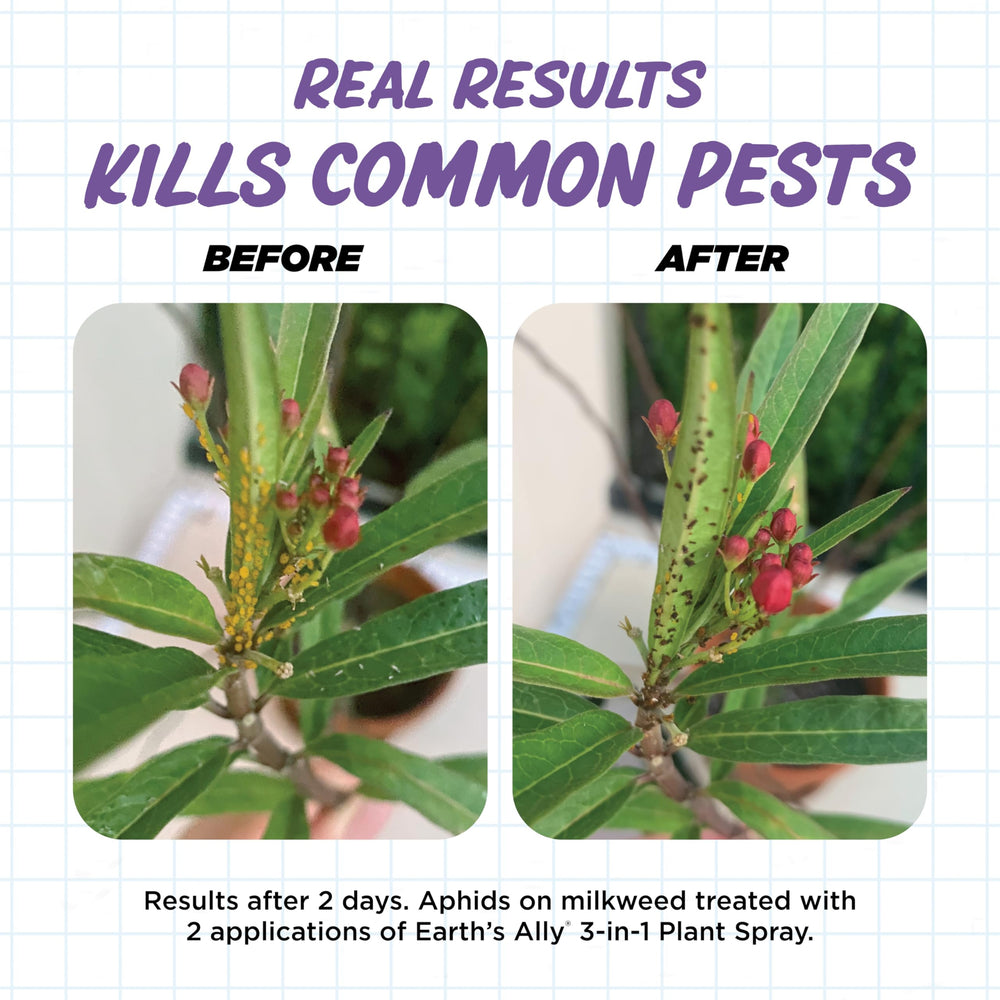 Earth's Ally helps prevent powdery mildew and leaf spots on foliage.