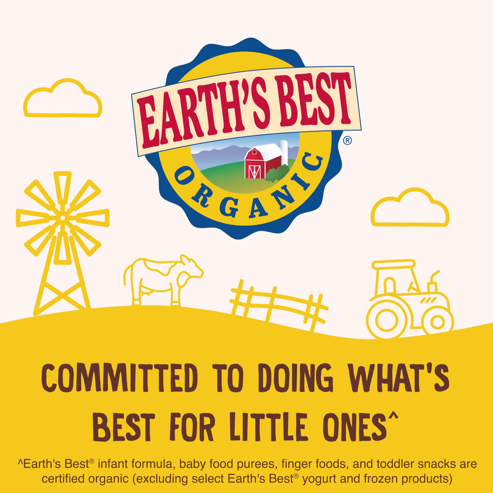 Earth's Best Organic Crunchy Sticks 5-pack box front; convenient snack option