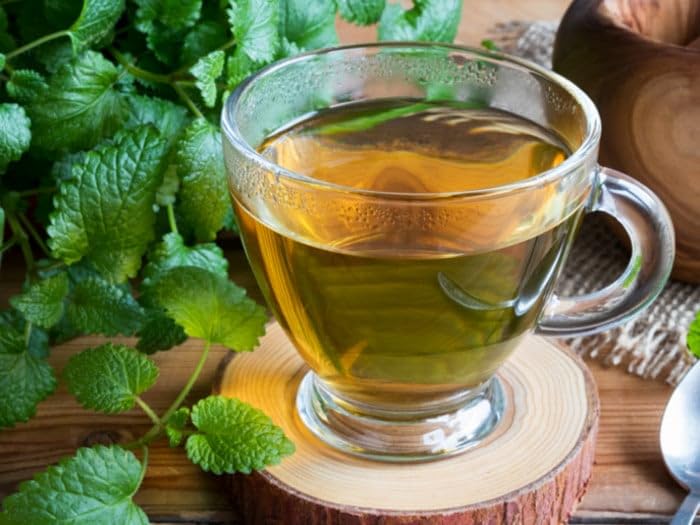 EarthWise Aromatics Lemon Balm tea steeping, vibrant aroma elevates morning ritual