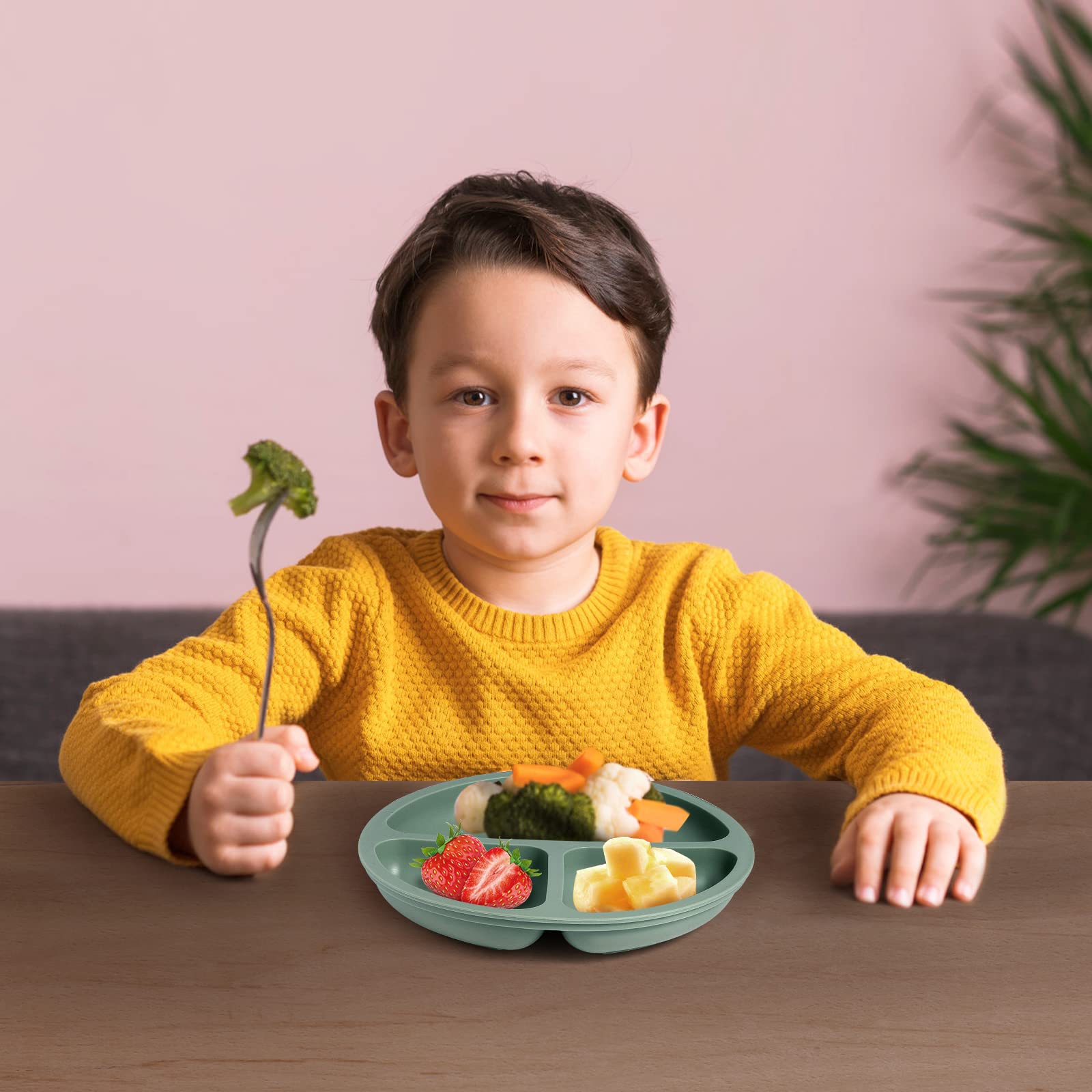 Eascrozn divided plates with separate compartments keep foods distinct while feeding.