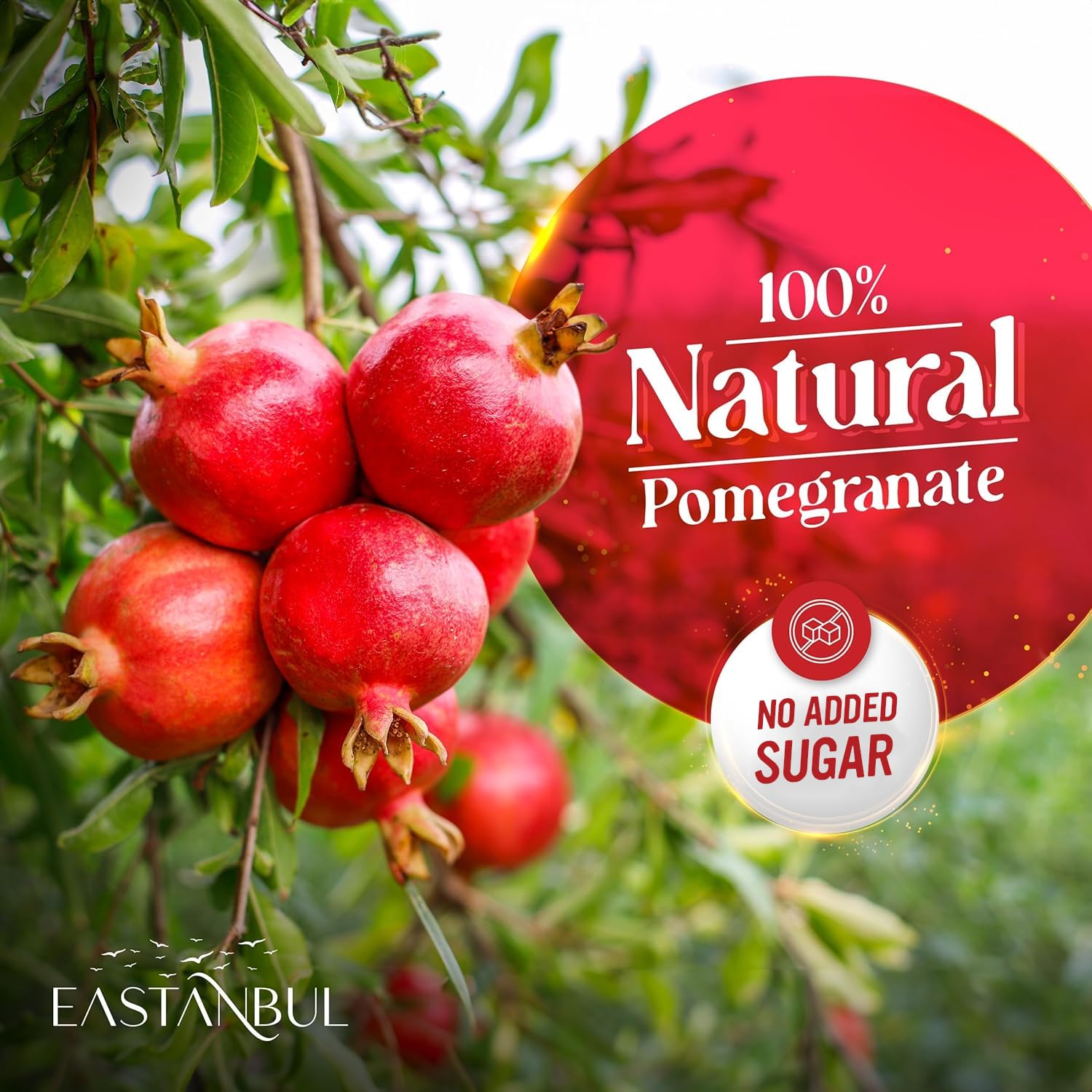 Closeup of Eastanbul pomegranate molasses dressing, tangy-sweet for salads