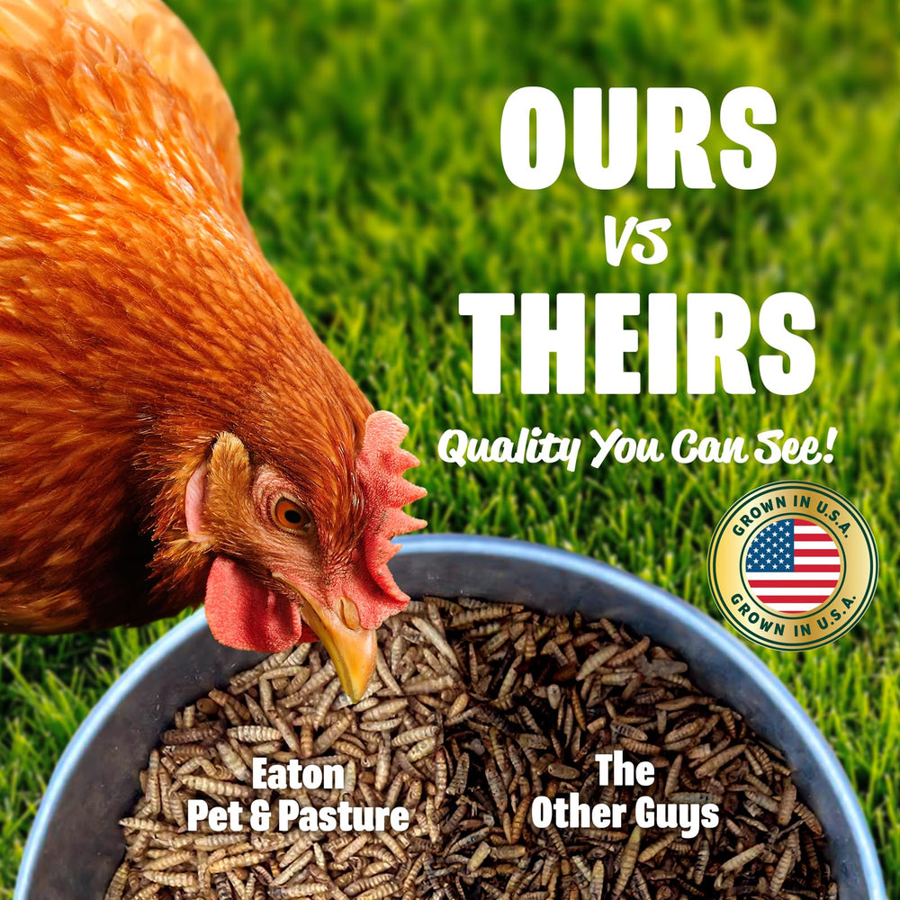 Eaton Pet and Pasture Premium Grubs apportent calcium élevé pour des coquilles solides.