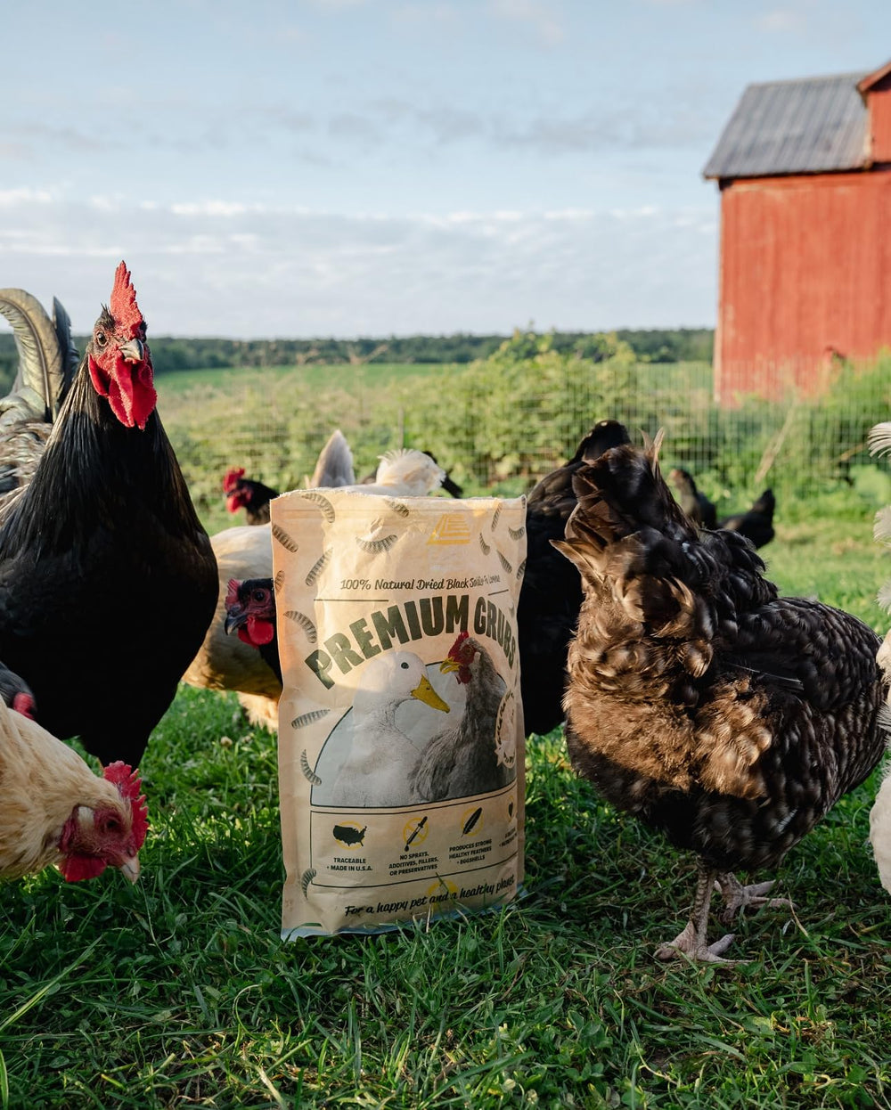 Ingrédients naturels sans hormones ni antibiotiques dans les larves Eaton.