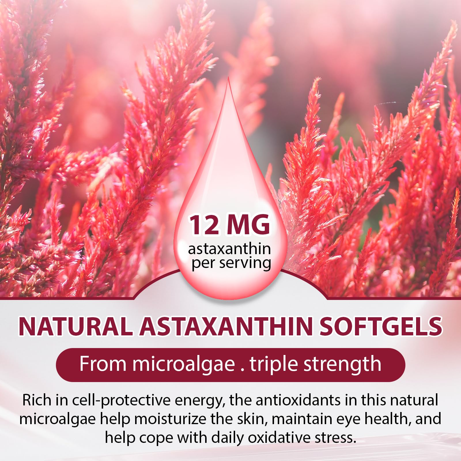 Echoes of the Spring softgels closeup showing easy-to-swallow capsules