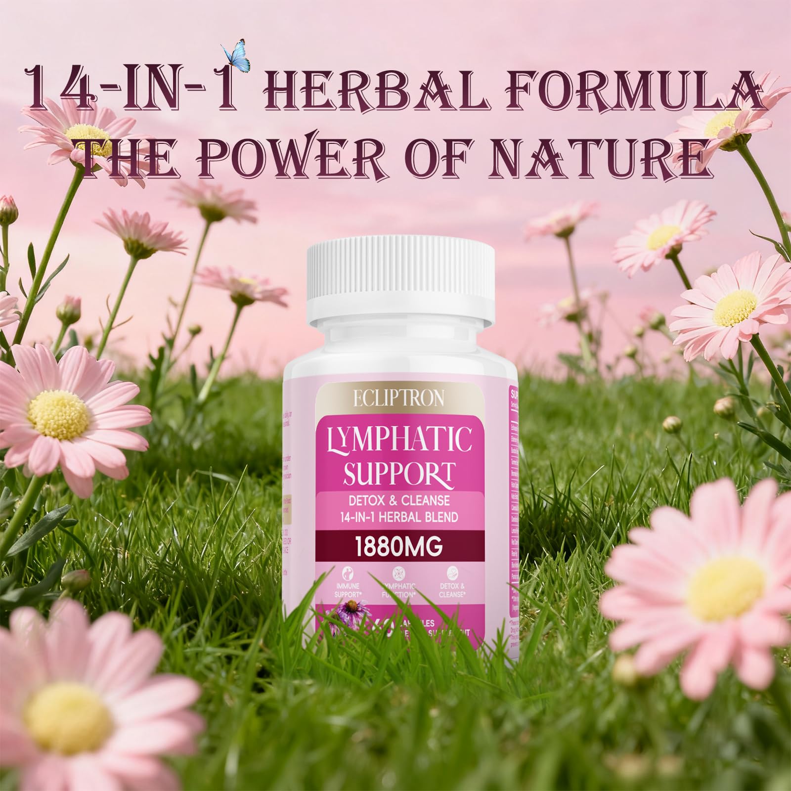 Ingredient scene suggesting natural herbs in Ecliptron Lymphatic Drainage blend