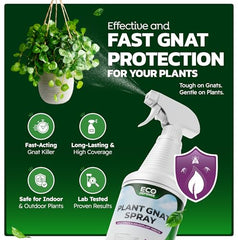 Eco Defense Gnat Spray applied to affected areas to protect plant health.