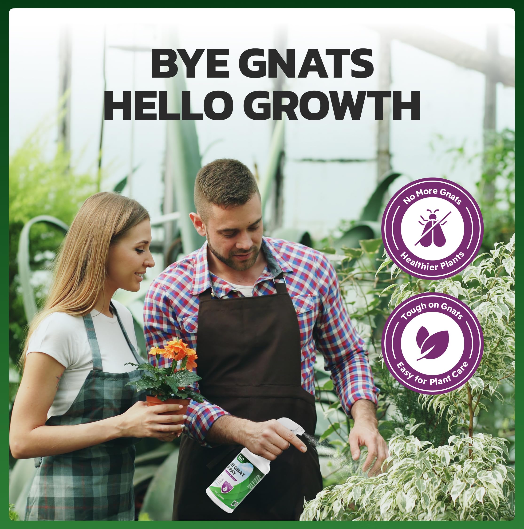 Eco Defense Gnat Spray supports daily indoor plant care with gentle protection.