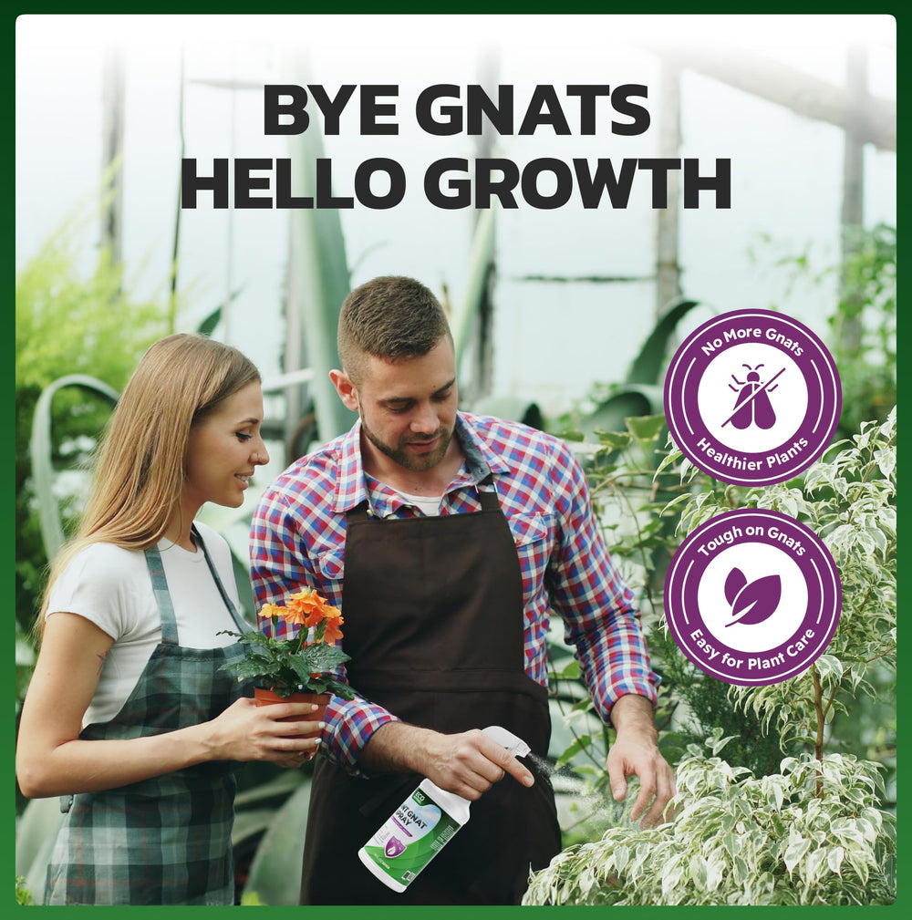 Eco Defense Gnat Spray supports daily indoor plant care with gentle protection.