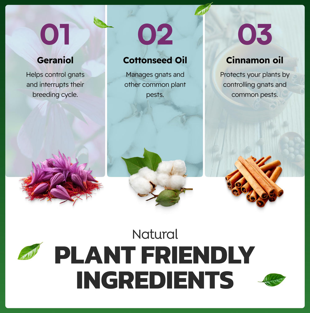 Eco Defense Gnat Spray uses natural essential oils for a fresh, safe aroma.