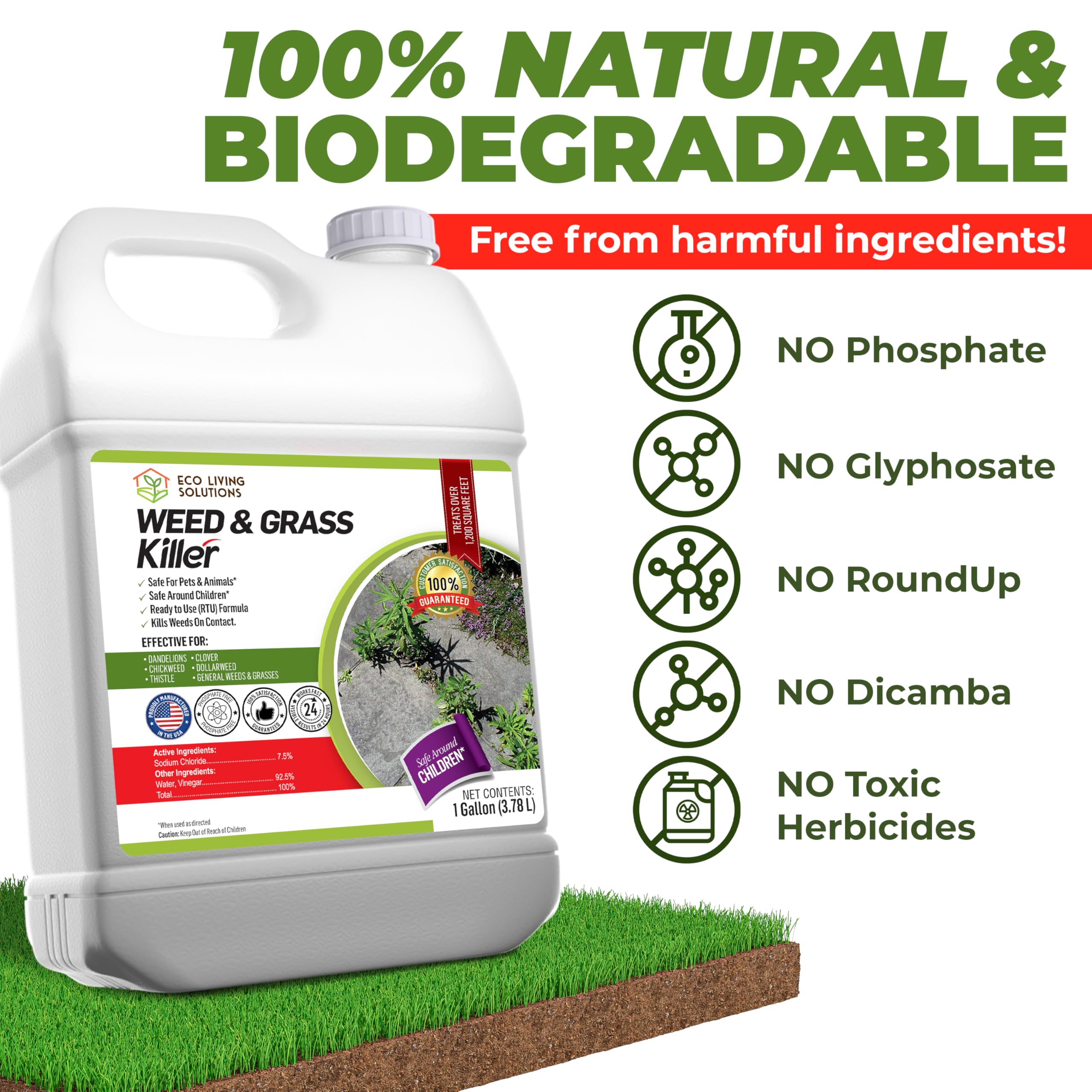 ECO Garden Pro clover and moss control in a lawn for tidier appearance.