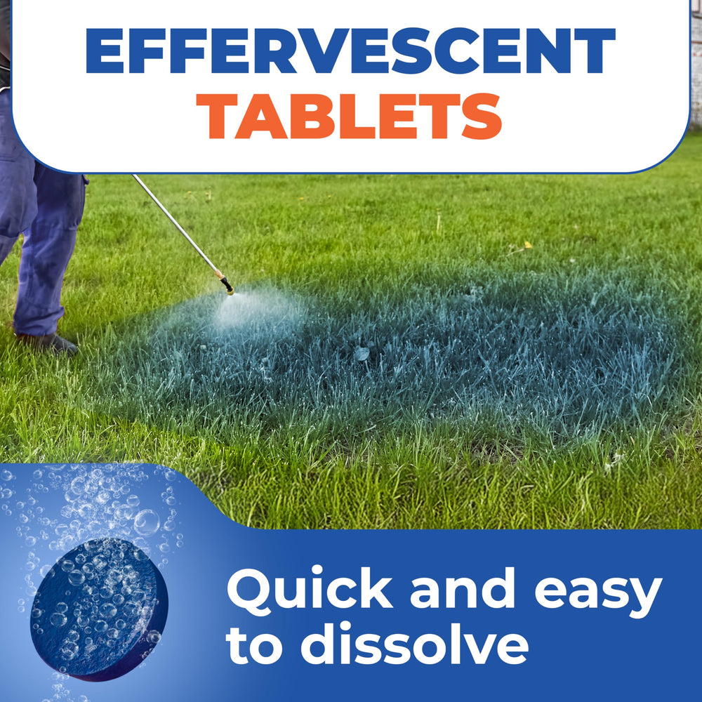 Eco Living Solutions blue spray visible in the tank to guide precise application.