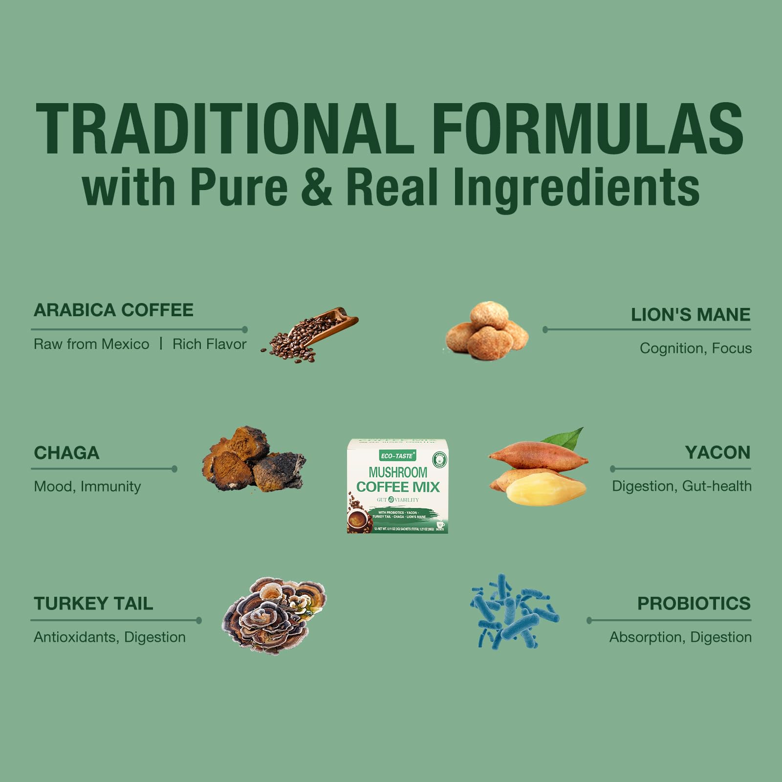 ECO-TASTE Mushroom Coffee Mix ingredients highlight chaga, lion's mane, yacon and probiotics