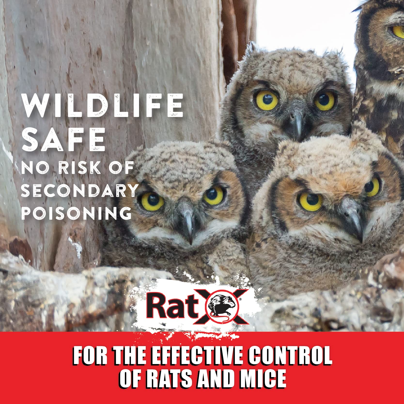 Professional and DIY users can apply RatX easily