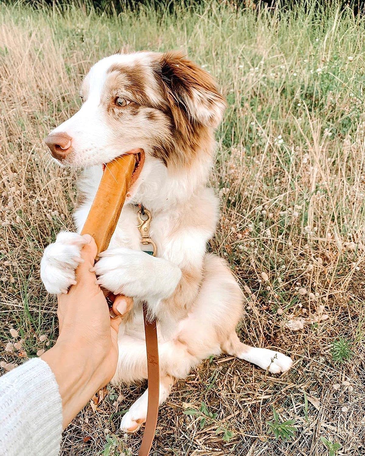 EcoKind Himalayan yak chews for large dogs displayed in bag