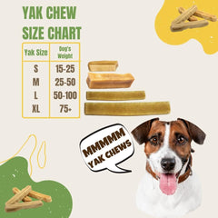 EcoKind chews indoors image highlighting odorless formula for home use