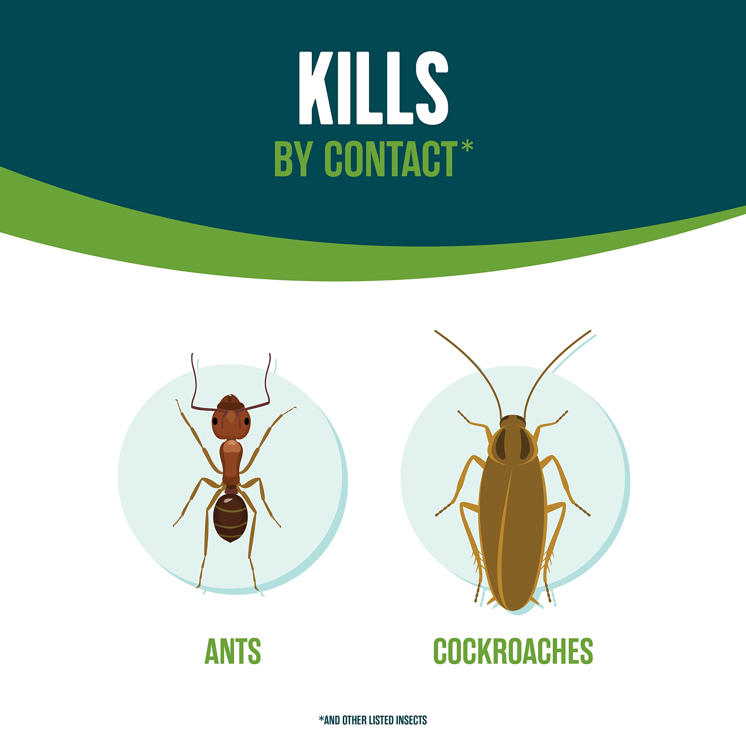 EcoLogic spray applied to walls and baseboards targets common indoor pests.