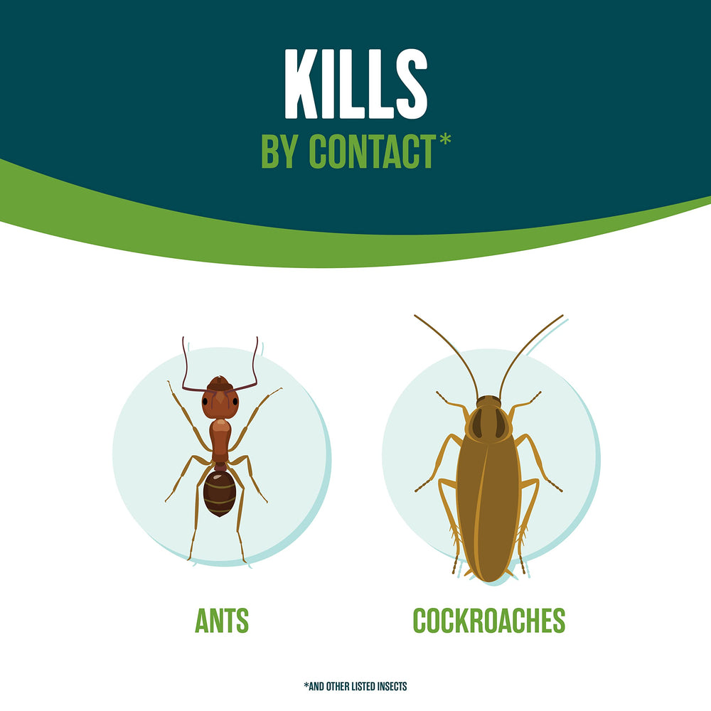 EcoLogic spray applied to walls and baseboards targets common indoor pests.