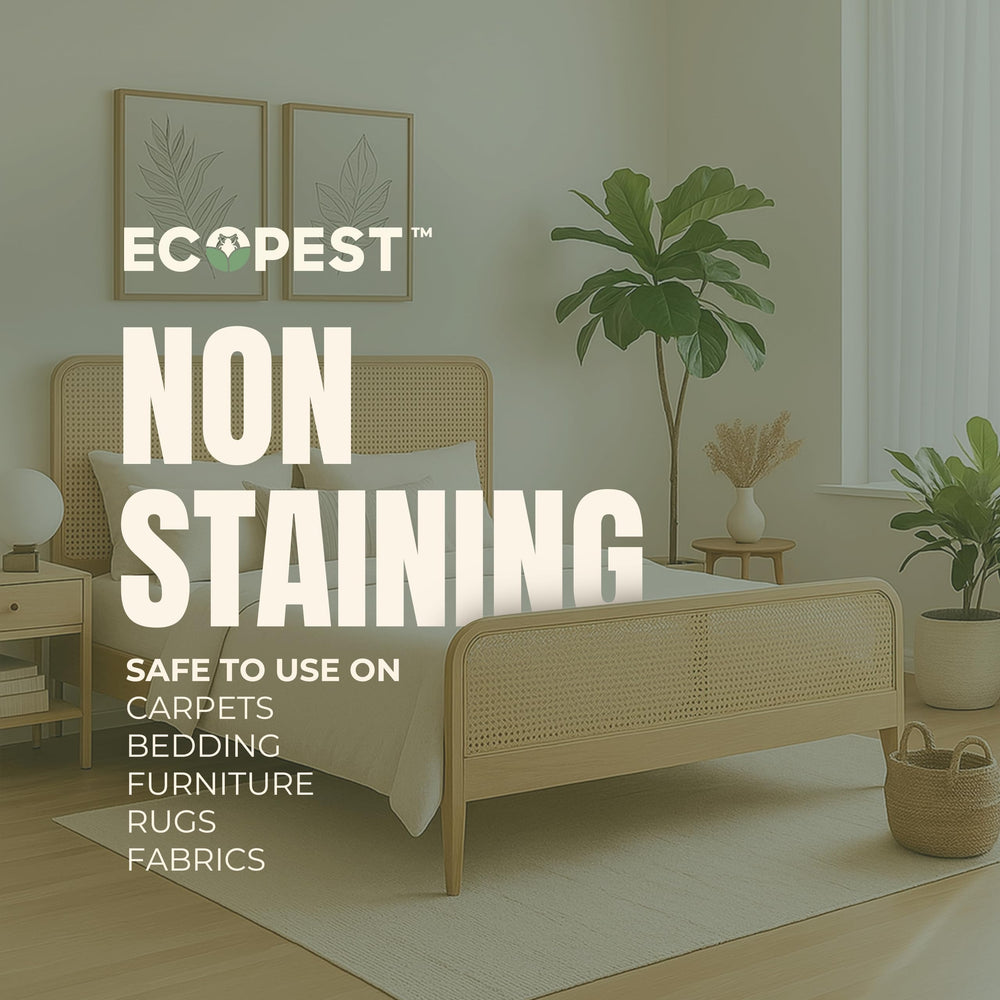 ECOPEST Carpet Beetle Spray by closet corner illustrates storage-area control.