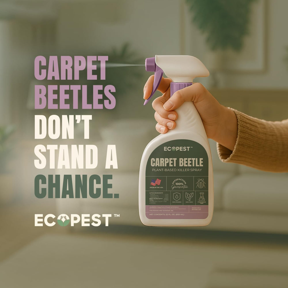 ECOPEST Carpet Beetle Spray on fabric near sofa demonstrates safe indoor use.