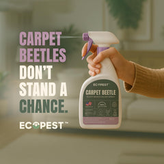 ECOPEST Carpet Beetle Spray on fabric near sofa demonstrates safe indoor use.
