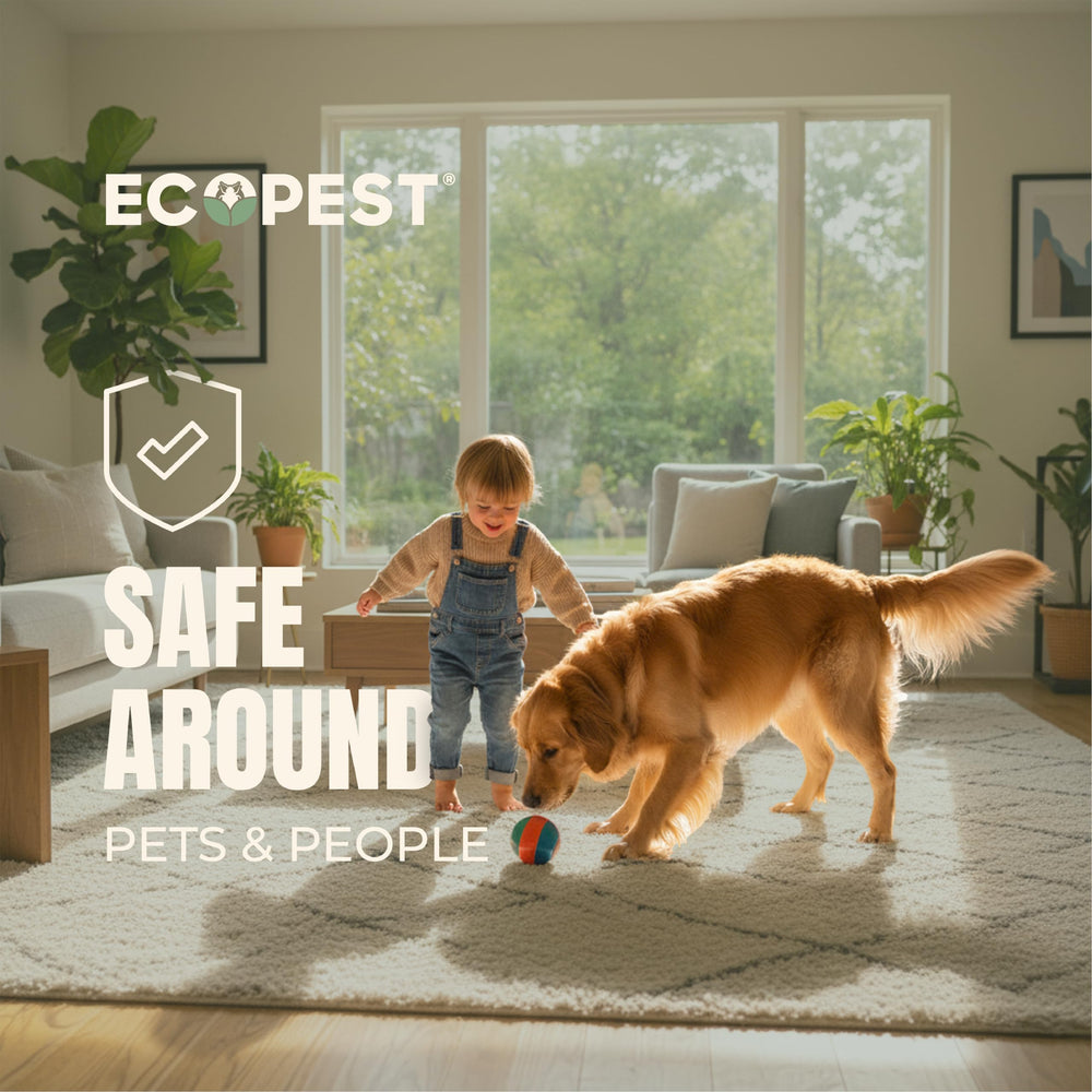 ECOPEST Upholstery treatment screenshot emphasizes fabric-safe, non-staining formula.