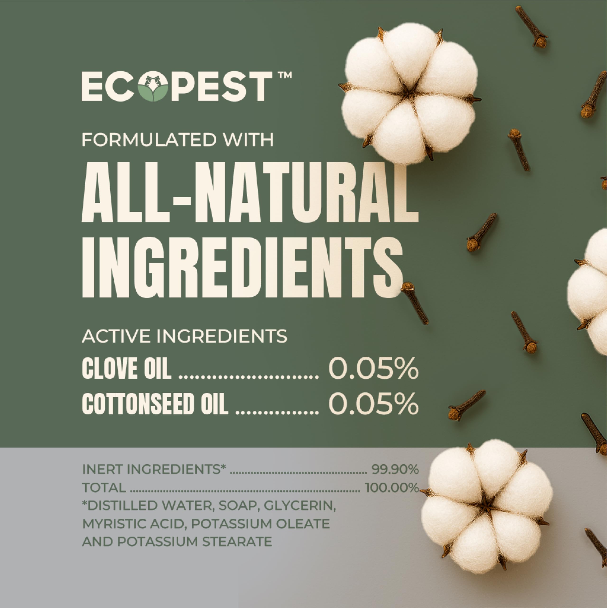 EcoPest indoors-outdoors use scene shows versatile application