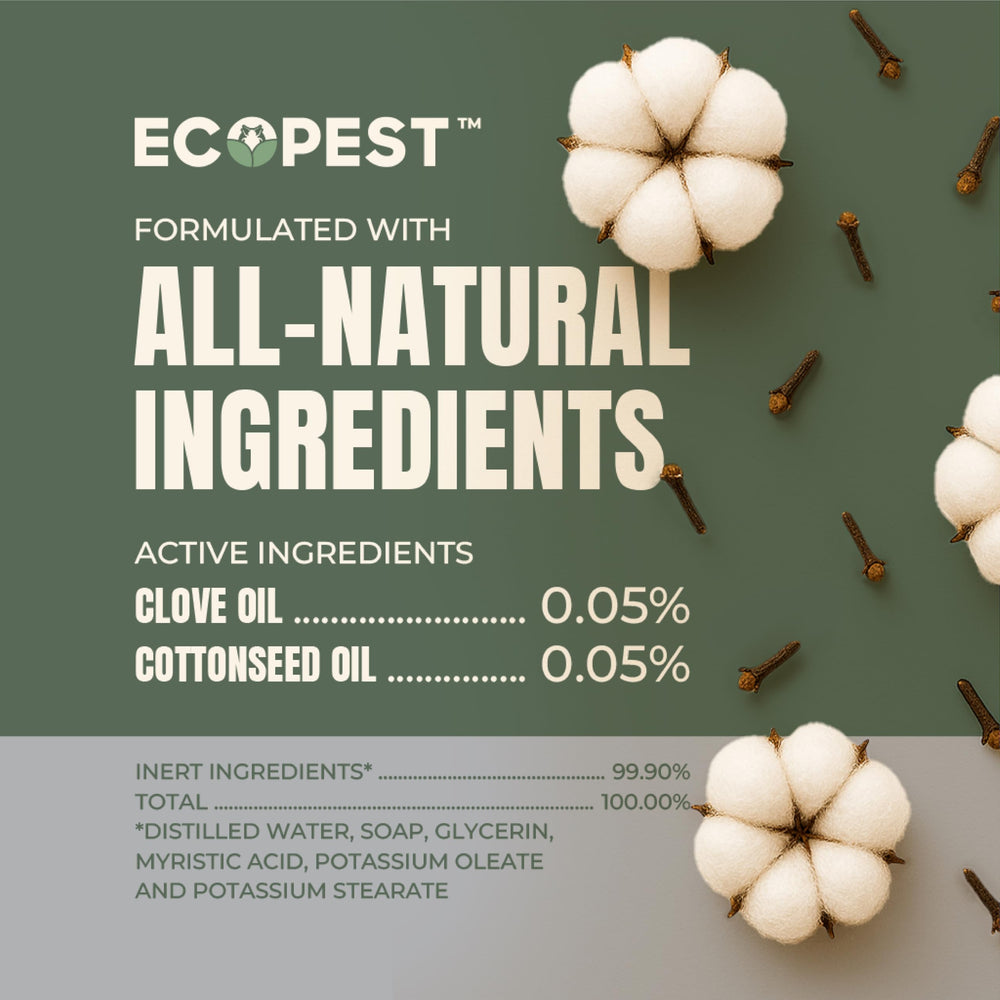 EcoPest indoors-outdoors use scene shows versatile application