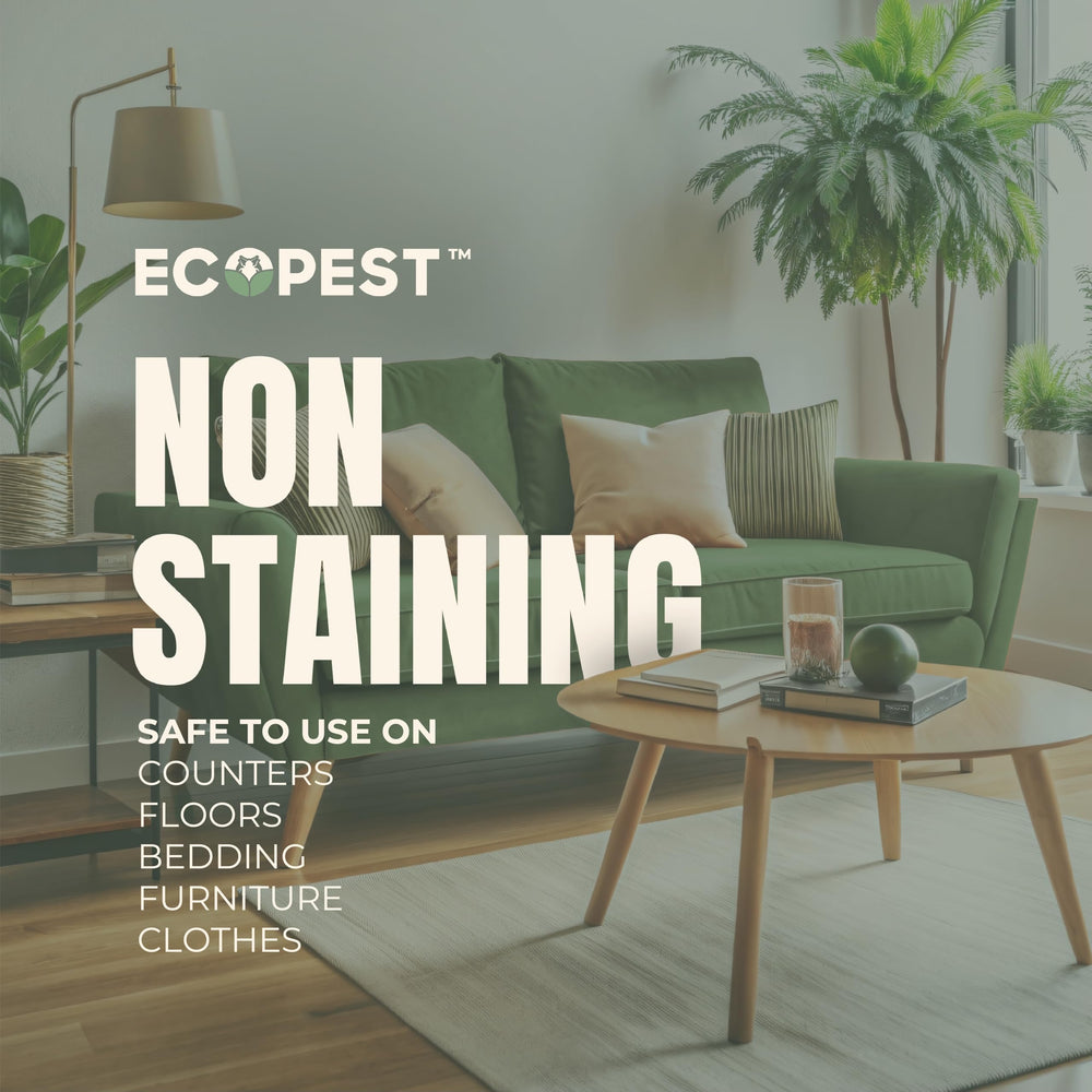 EcoPest Silverfish Spray bottle demonstrates kid-safe usage for family homes