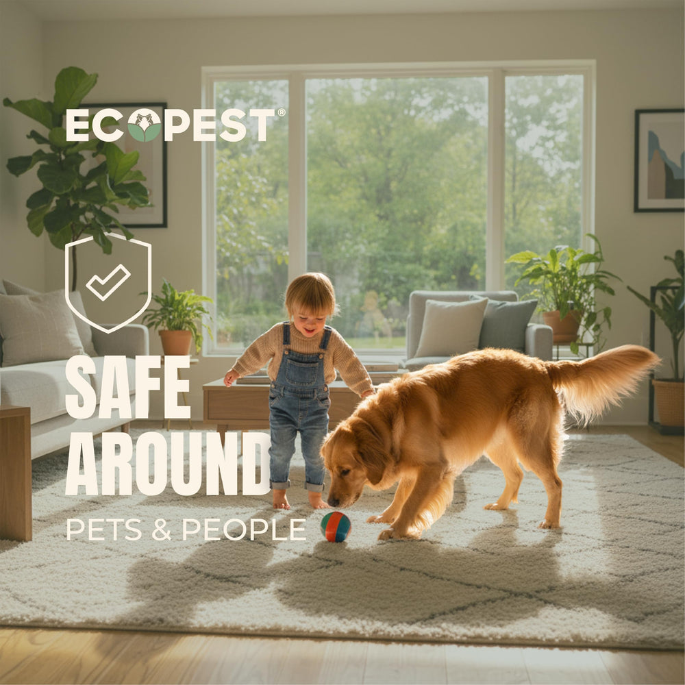 EcoPest Silverfish Spray action shot shows quick kill within 30 minutes
